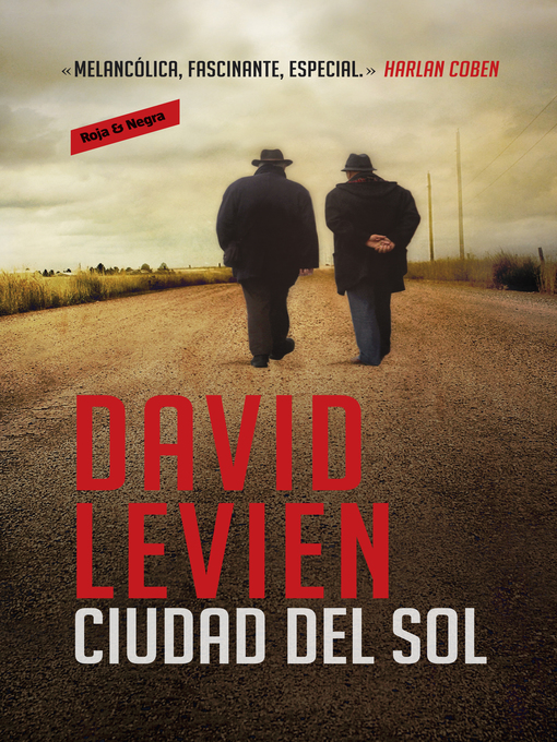 Cover image for Ciudad del sol